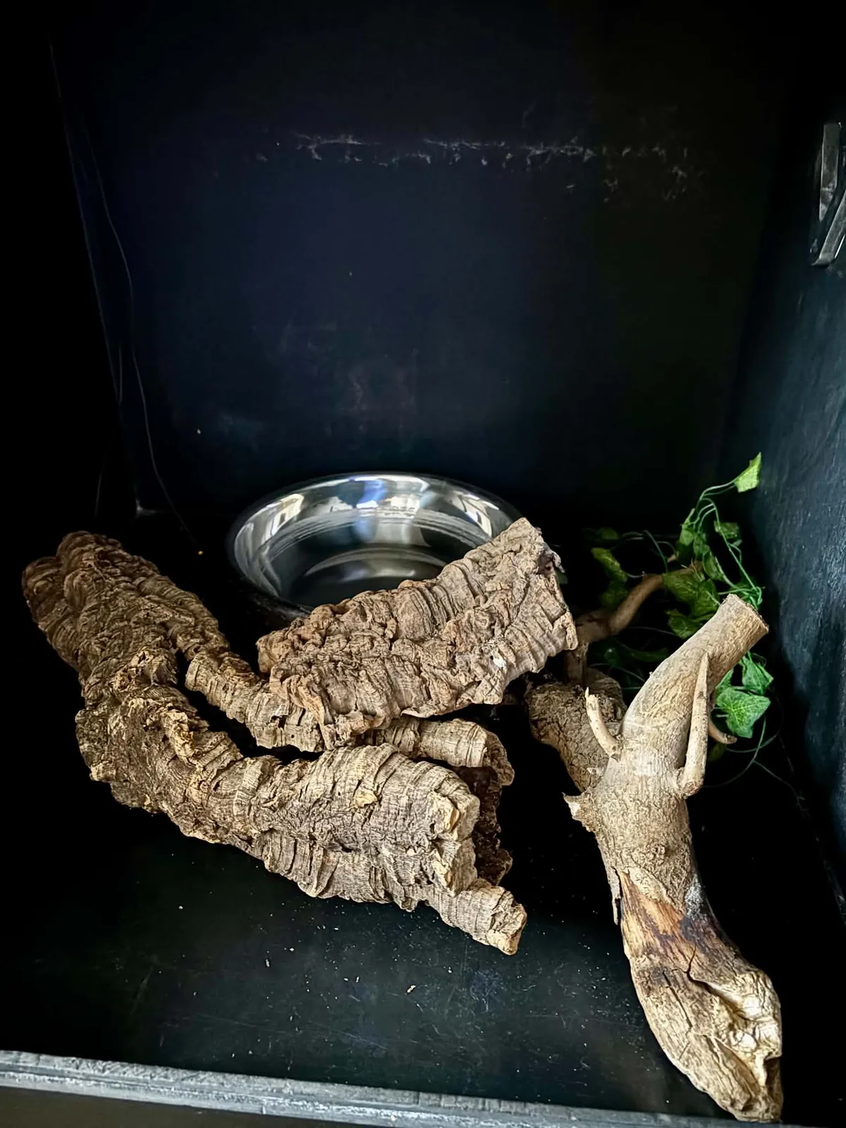 Kawałki kory korkowej, gałąź i metalowa miska z wodą we wnętrzu czarnego terrarium PCV