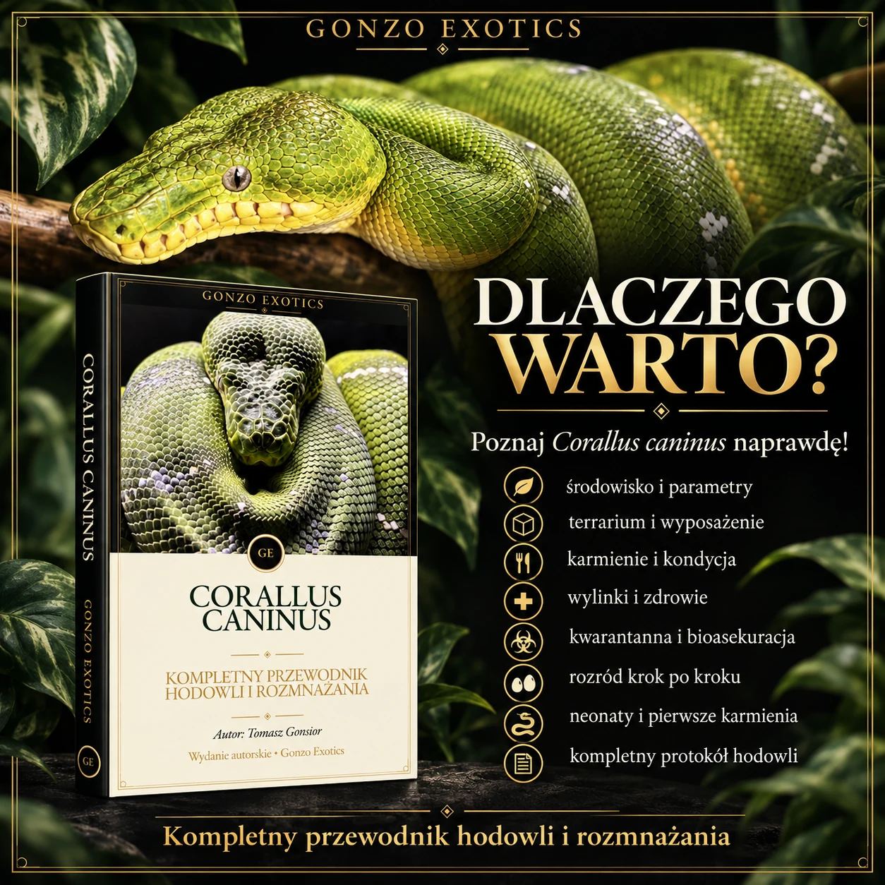 Zakres przewodnika Corallus caninus — hodowla, zdrowie, bioasekuracja i rozmnażanie