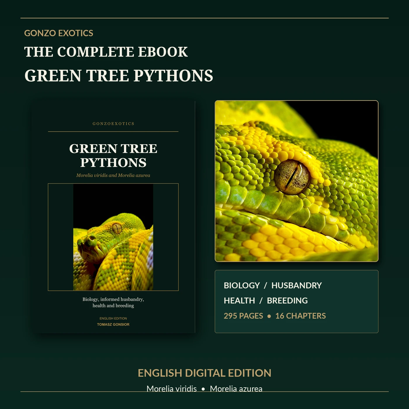 Publication overview showing the English book cover, a python close-up and the verified 295-page, 16-chapter format