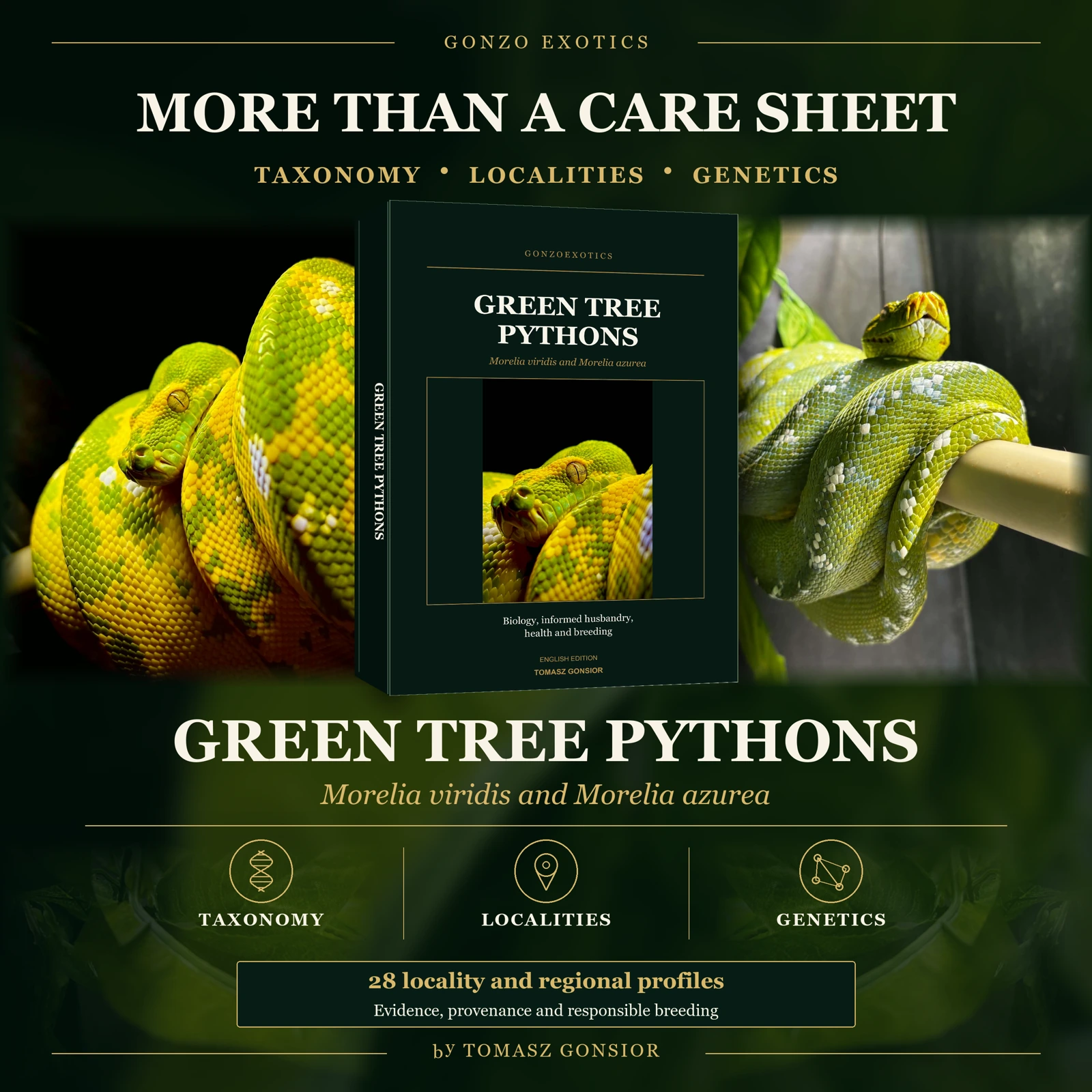 Green Tree Pythons promotional artwork combining the book cover and two python photographs with taxonomy, localities and genetics themes